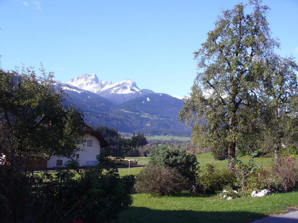 Mitschighof - Apartments Und Pension - Heidis-Welt, Mitschig Hermagor-Pressegger See Kültér fotó