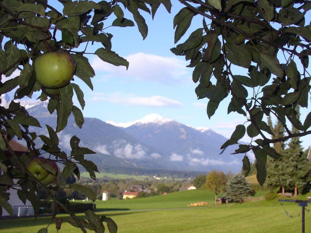 Mitschighof - Apartments Und Pension - Heidis-Welt, Mitschig Hermagor-Pressegger See Kültér fotó