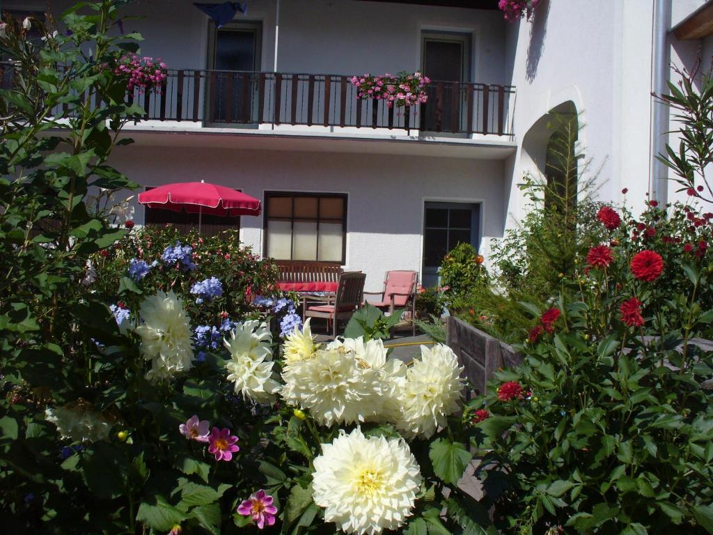 Mitschighof - Apartments Und Pension - Heidis-Welt, Mitschig Hermagor-Pressegger See Kültér fotó