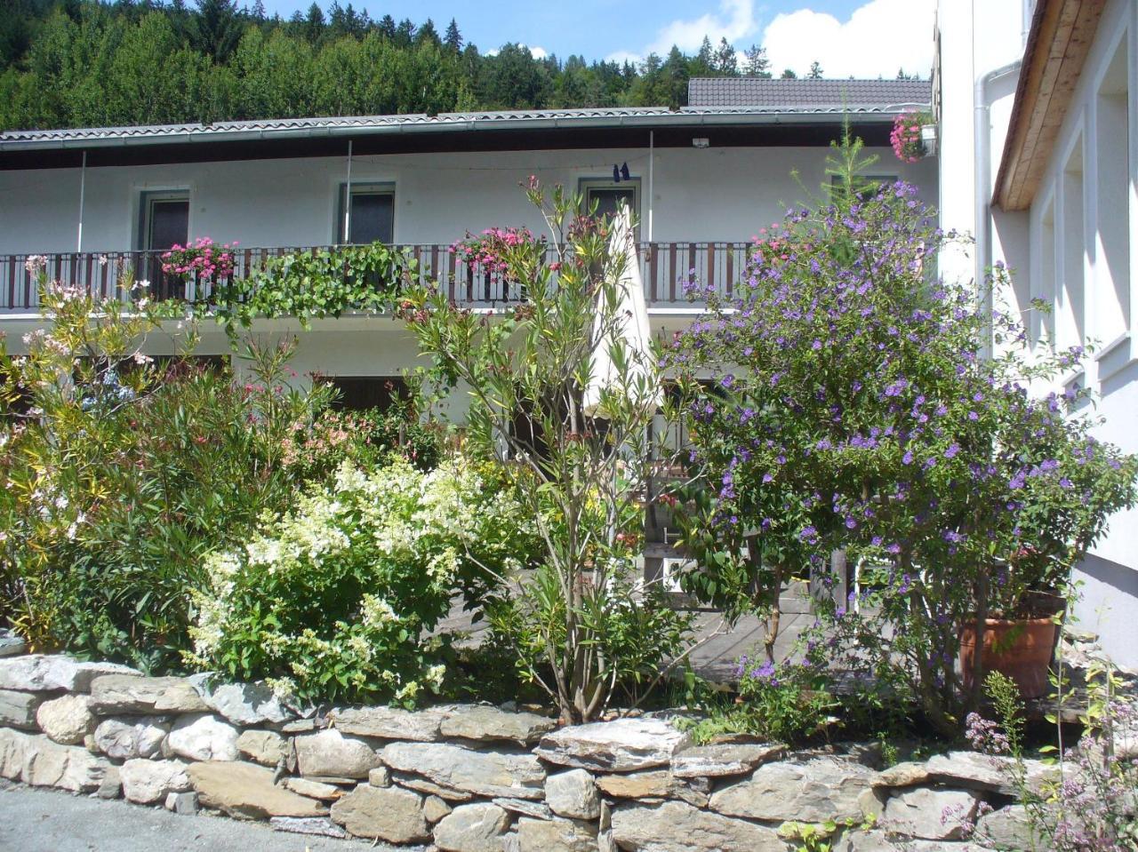 Mitschighof - Apartments Und Pension - Heidis-Welt, Mitschig Hermagor-Pressegger See Kültér fotó