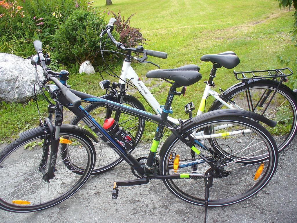 Mitschighof - Apartments Und Pension - Heidis-Welt, Mitschig Hermagor-Pressegger See Kültér fotó